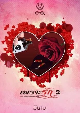 Because of Love Vol 02